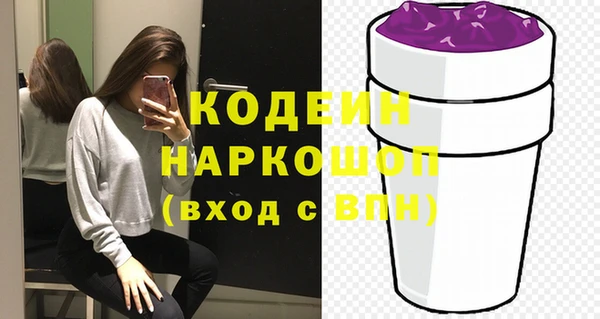 хмурый Арсеньев