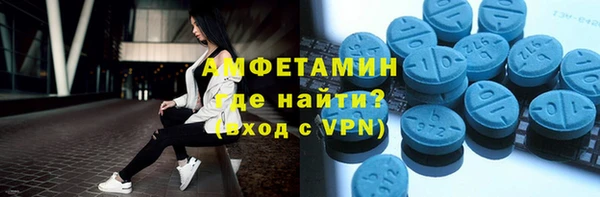 гашик Няндома