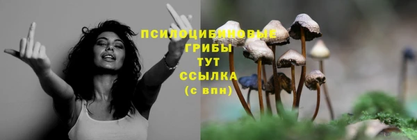 хмурый Арсеньев