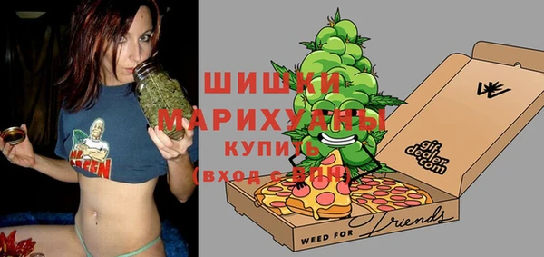 сатива Алзамай