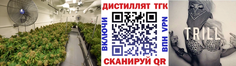 KRAKEN   Харабали  ТГК THC oil 