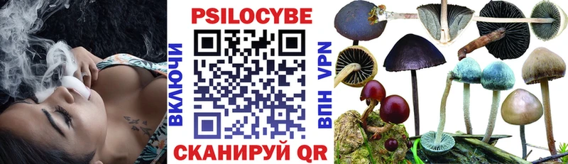 продажа наркотиков  Харабали  Псилоцибиновые грибы Magic Shrooms 